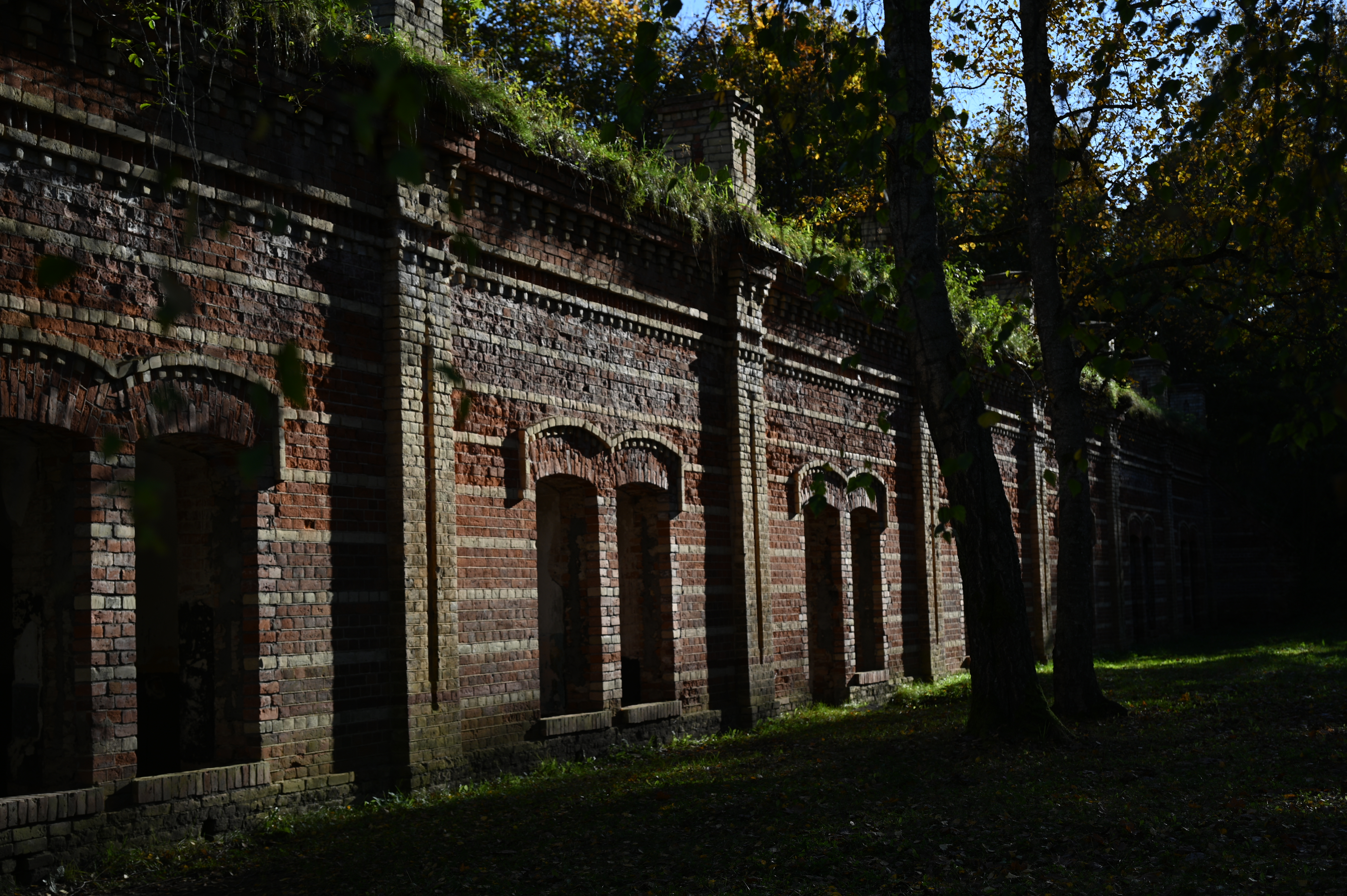 2025/10/18 - walk/DSC_0027.JPG